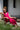 Jaipur Bright Pink Dress with white, gold Jamdani checks and motifs - Pose