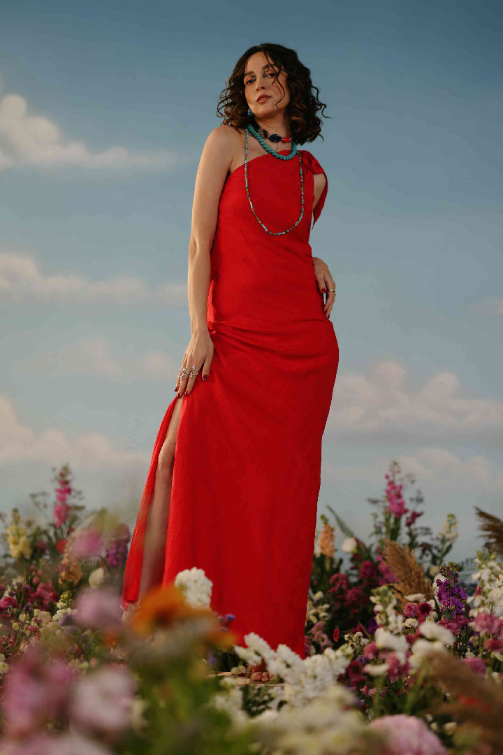Hitachi Seaside - Red maxi dress