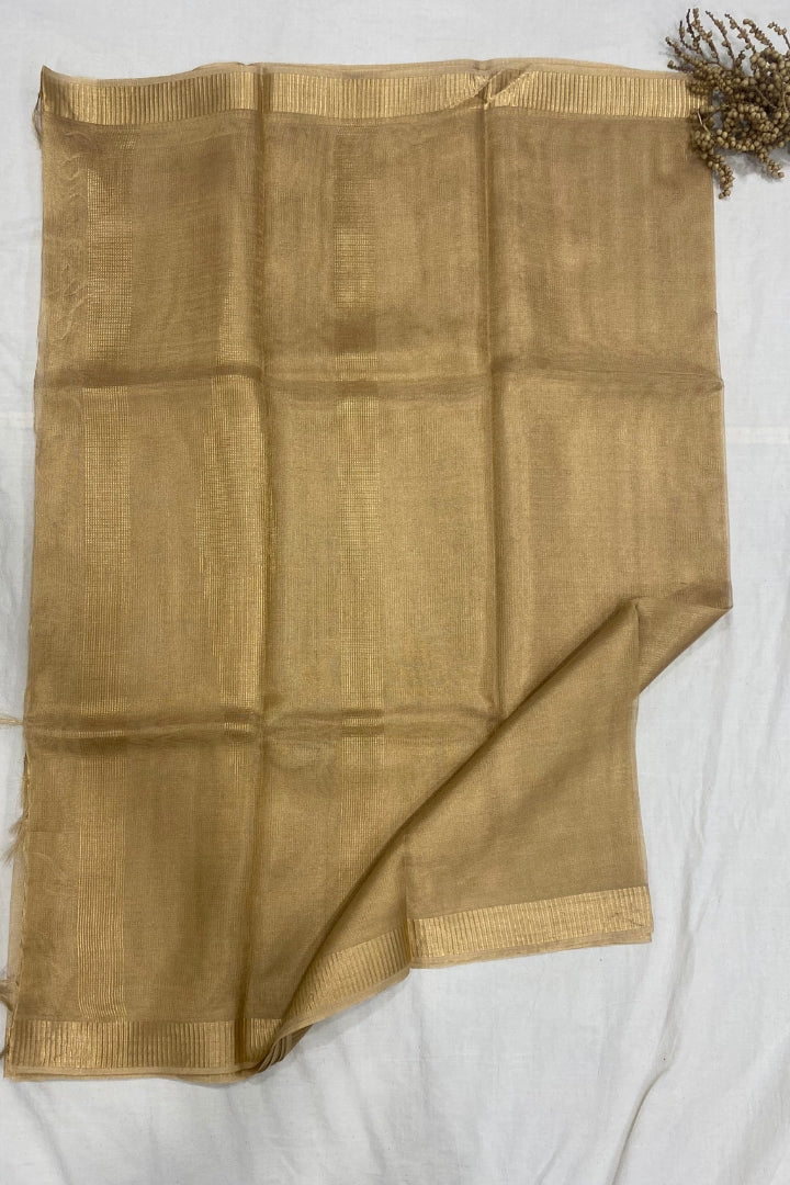 Golden Tissue Saree with Gold Border
