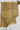 Golden Tissue Saree with Gold Border
