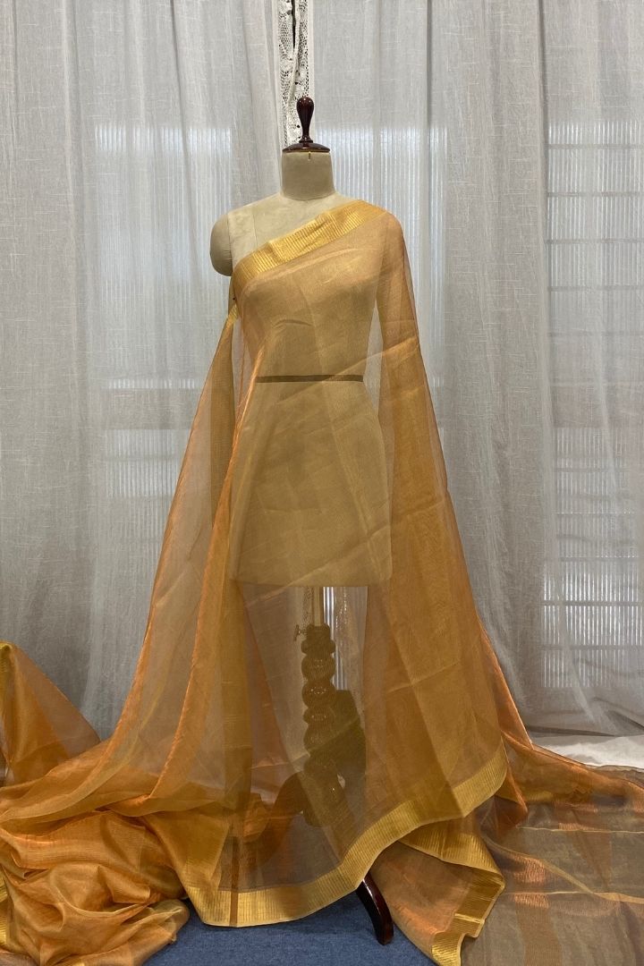 Champagne Tissue Saree with Gold Border