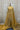 Golden Tissue Saree with Gold Border