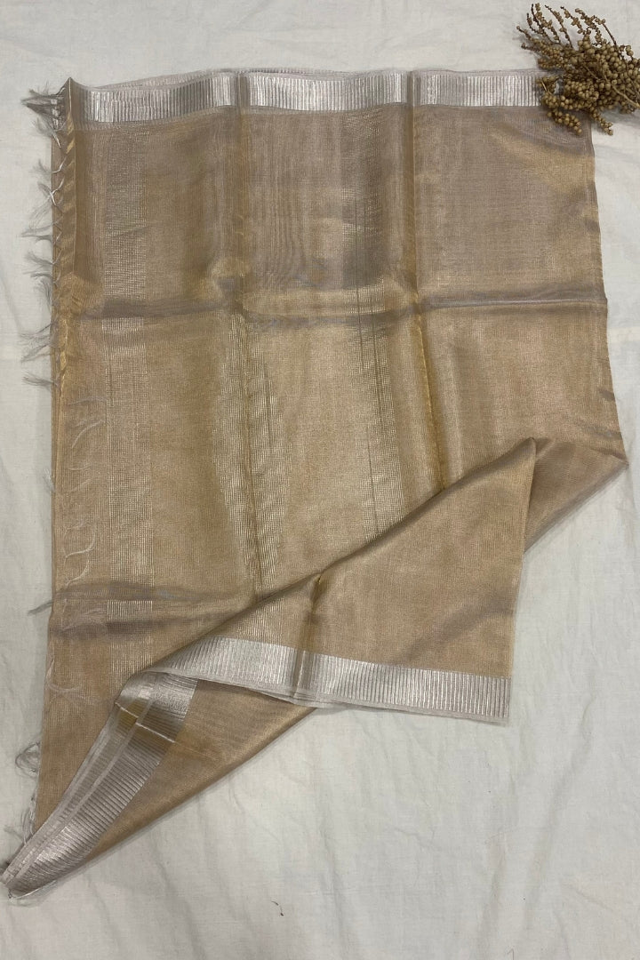 Silver-Gold Tissue saree with Silver Border