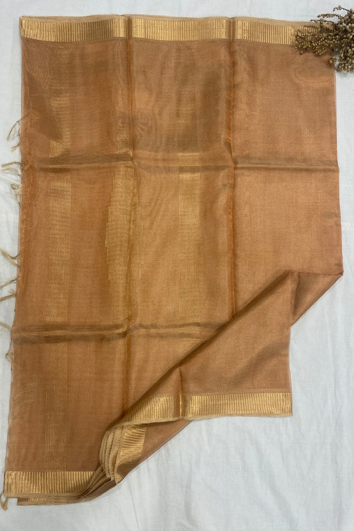 Champagne Tissue Saree with Gold Border